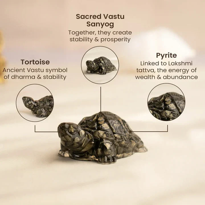Vastu Pyrite Tortoise (Kachhua)
