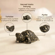 Vastu Pyrite Tortoise (Kachhua)