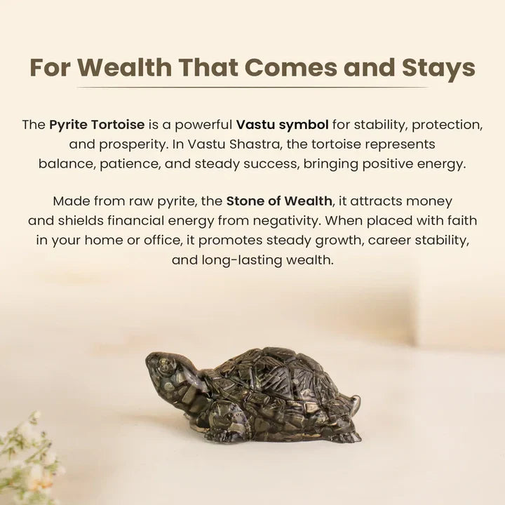 Vastu Pyrite Tortoise (Kachhua)